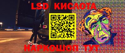 прущие грибы Новокубанск