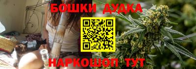 прущие грибы Новокубанск