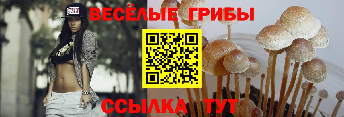 Галлюциногенные грибы ЛСД  Вход с VPN  Чехов 